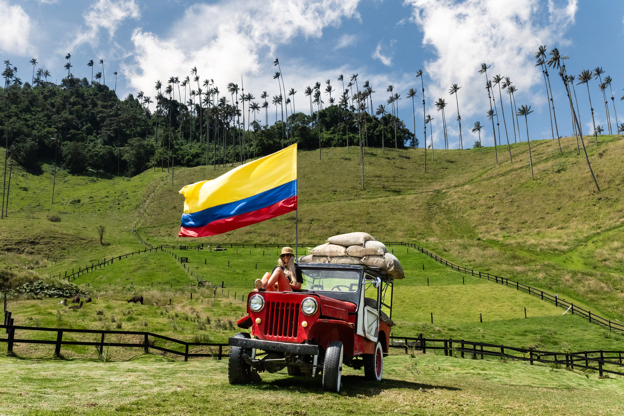 A traveler sitting on a vintage red Willys jeep flying a large Colombian flag in the green Cocora Valley, surrounded by towering wax palm trees under a blue sky.