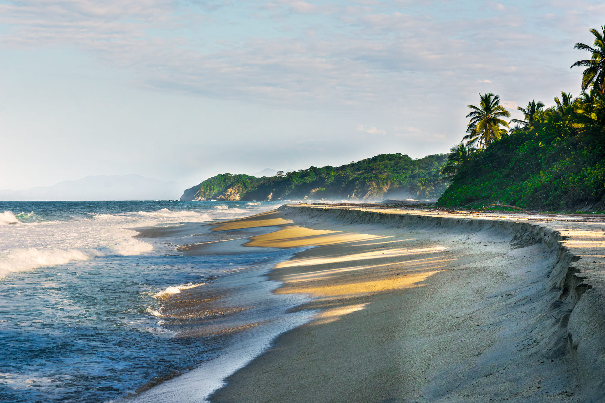 A picturesque view of a secluded golden sand beach in Tayrona National Park, Colombia, where lush tropical greenery meets the turquoise Caribbean Sea under a soft morning sky.